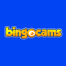 Bingo Cams