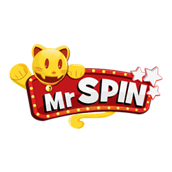 Mr Spin